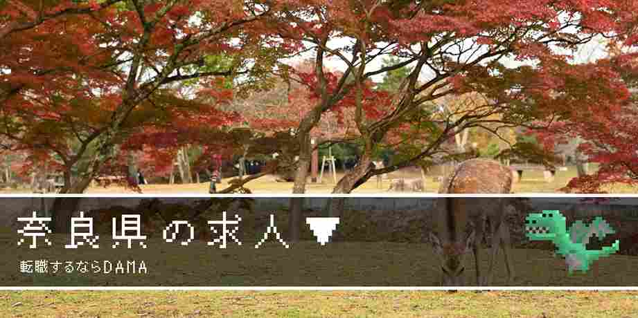 奈良県（奈良公園の鹿）